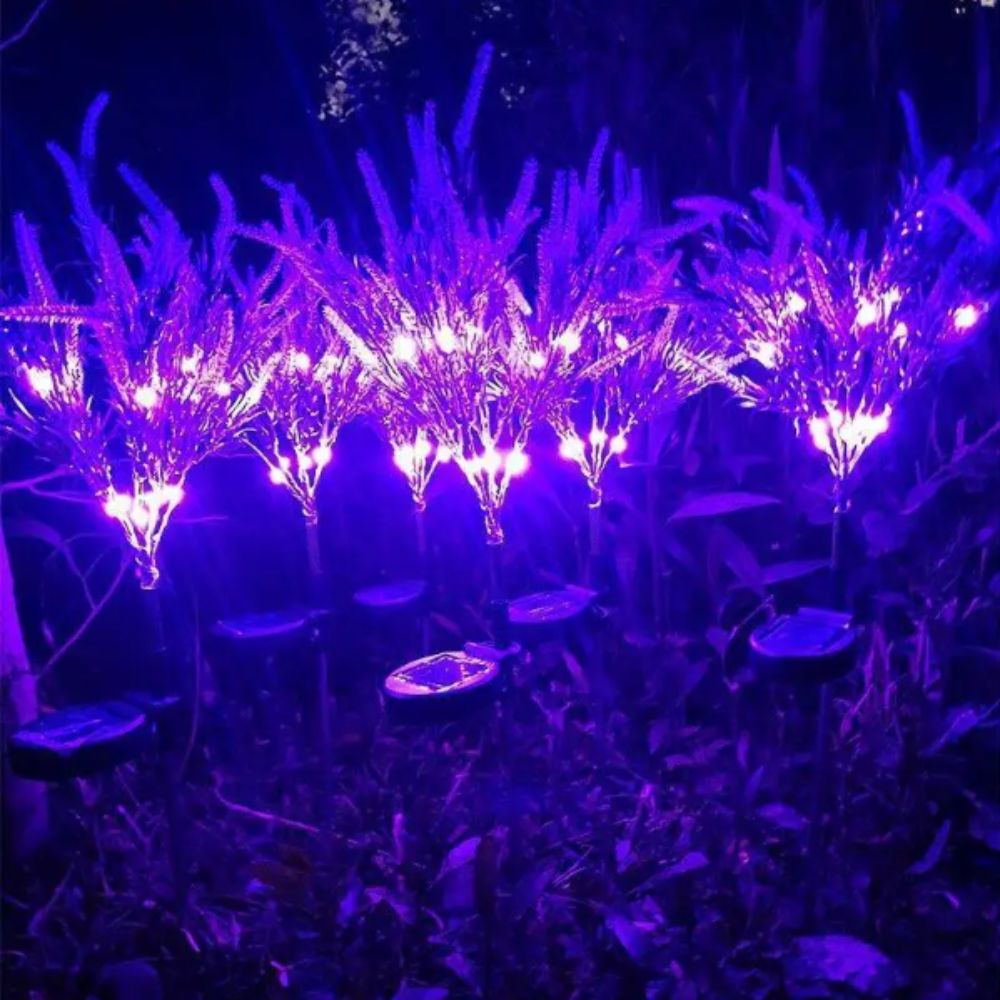 ضوء LED شمسي بنفسجي على شكل زه - مراجعة Outdoor Lighting Unit وسعره